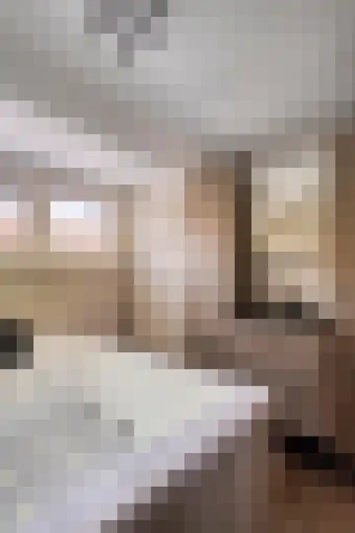 Beukestraat 28 Krommenie thumbnail 29