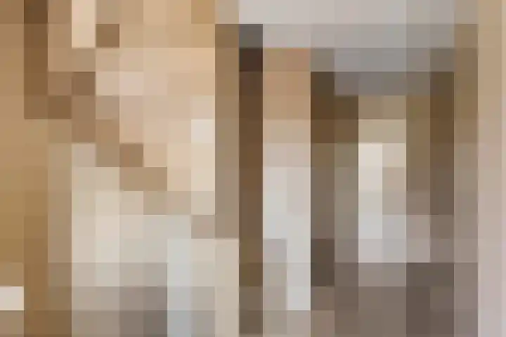 Beukestraat 28 Krommenie thumbnail 31