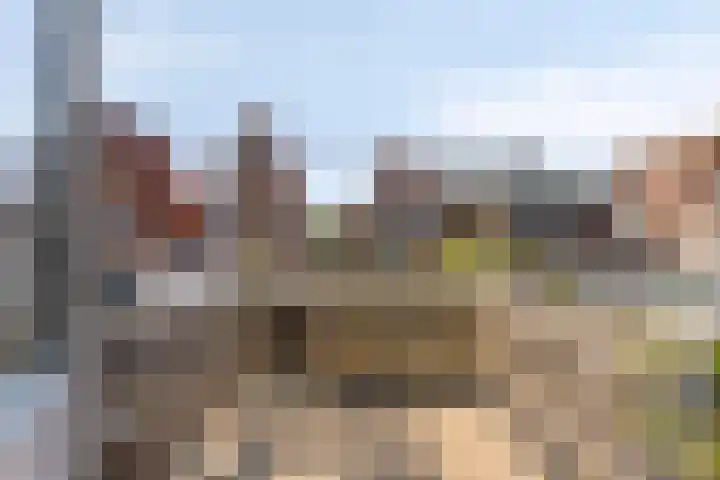 Beukestraat 28 Krommenie thumbnail 34