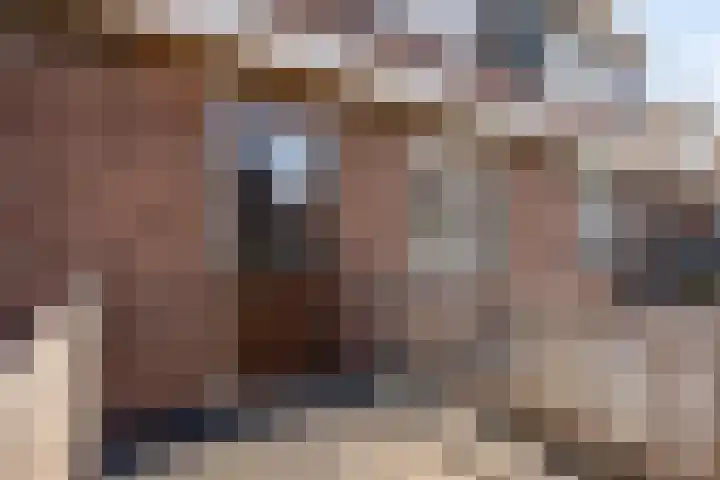 Beukestraat 28 Krommenie thumbnail 35