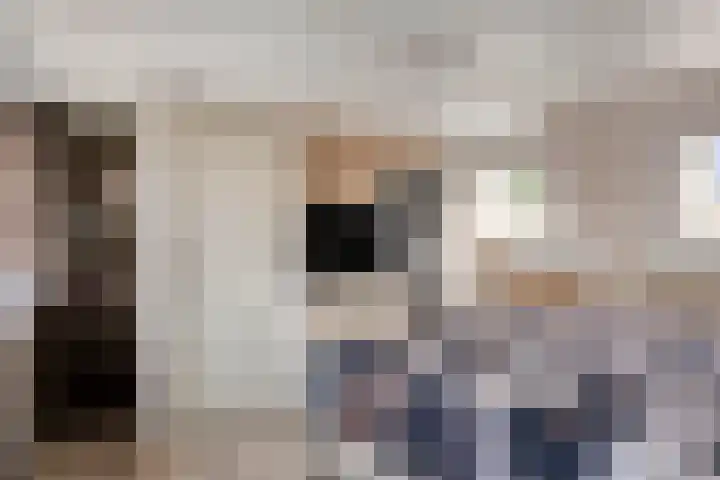Beukestraat 28 Krommenie thumbnail 38