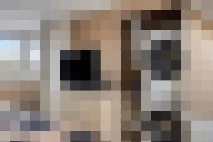Beukestraat 28 Krommenie thumbnail 40