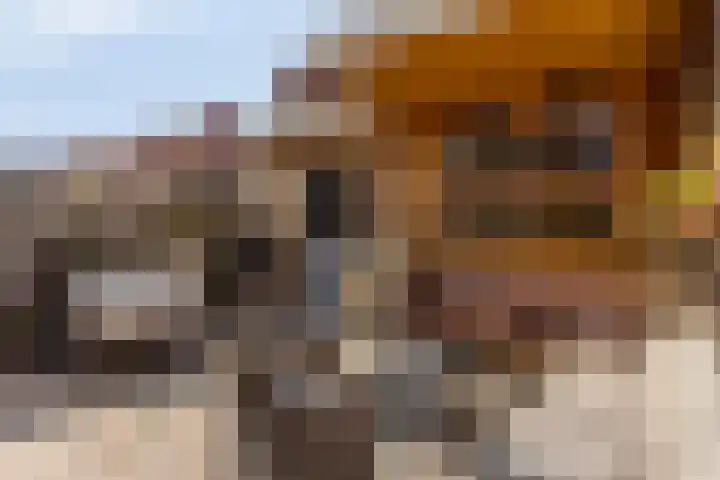 Beukestraat 28 Krommenie thumbnail 41