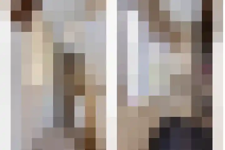 Beukestraat 28 Krommenie thumbnail 47
