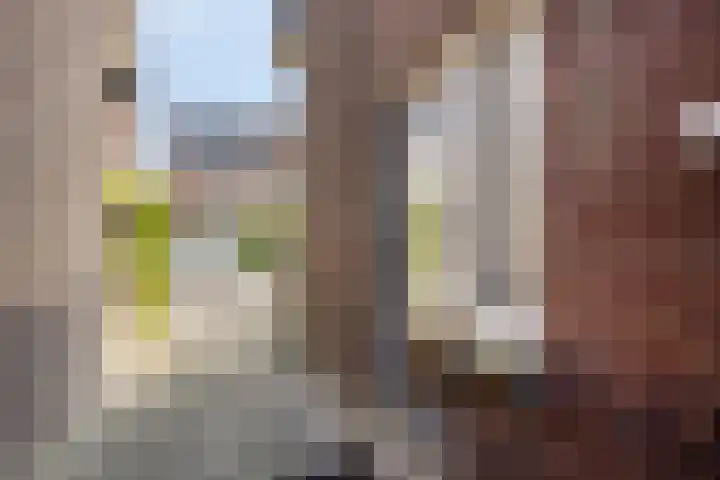 Beukestraat 28 Krommenie thumbnail 5