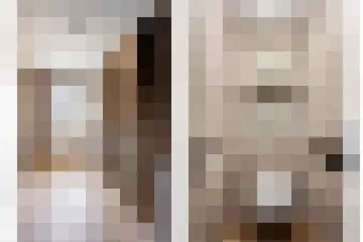 Beukestraat 28 Krommenie thumbnail 53