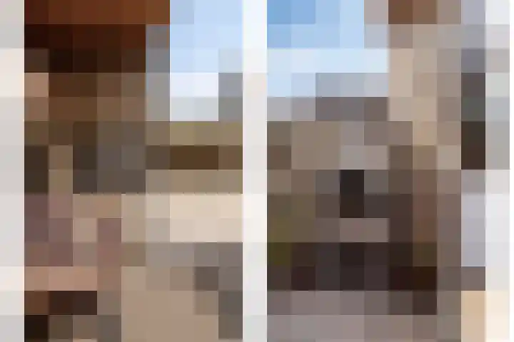 Beukestraat 28 Krommenie thumbnail 54