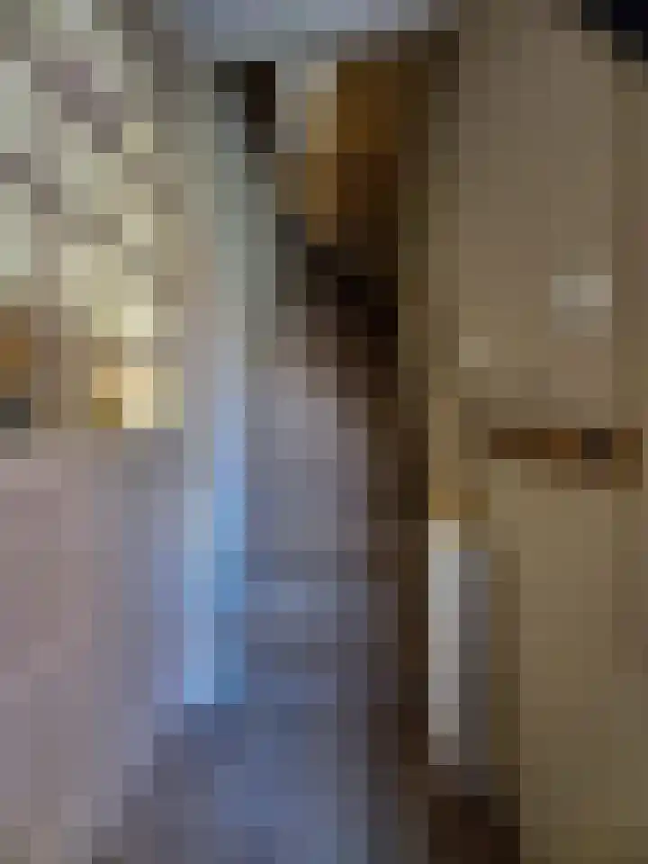 Beukestraat 28 Krommenie thumbnail 6