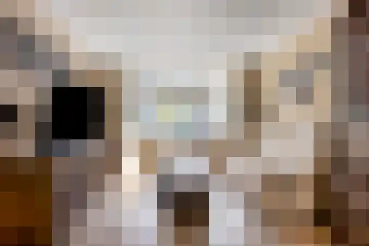 Beukestraat 28 Krommenie thumbnail 8