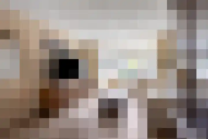 Beukestraat 28 Krommenie thumbnail 9