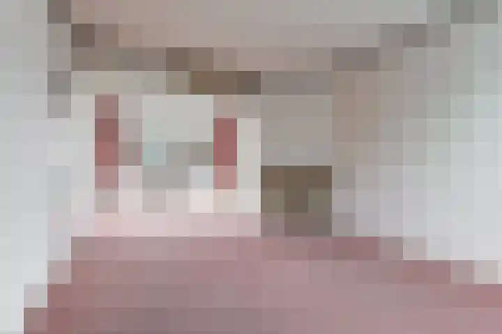 Beukestraat 41 Krommenie thumbnail 12