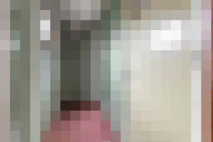 Beukestraat 41 Krommenie thumbnail 16