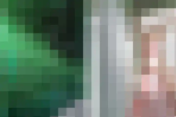 Beukestraat 41 Krommenie thumbnail 17