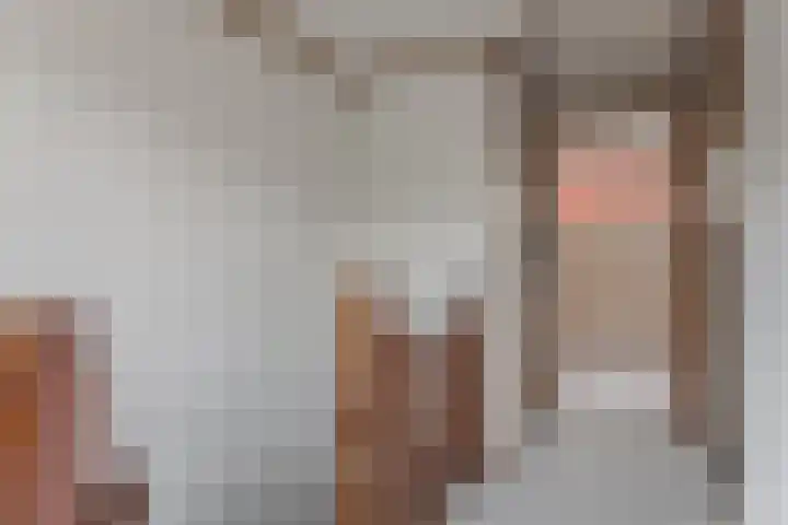 Beukestraat 41 Krommenie thumbnail 20