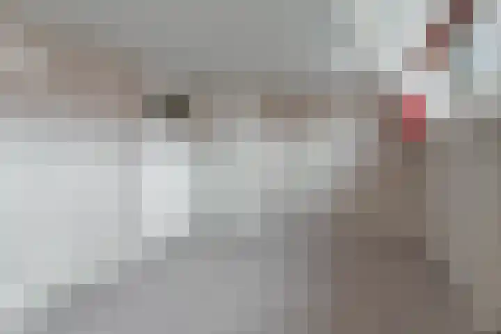 Beukestraat 41 Krommenie thumbnail 24