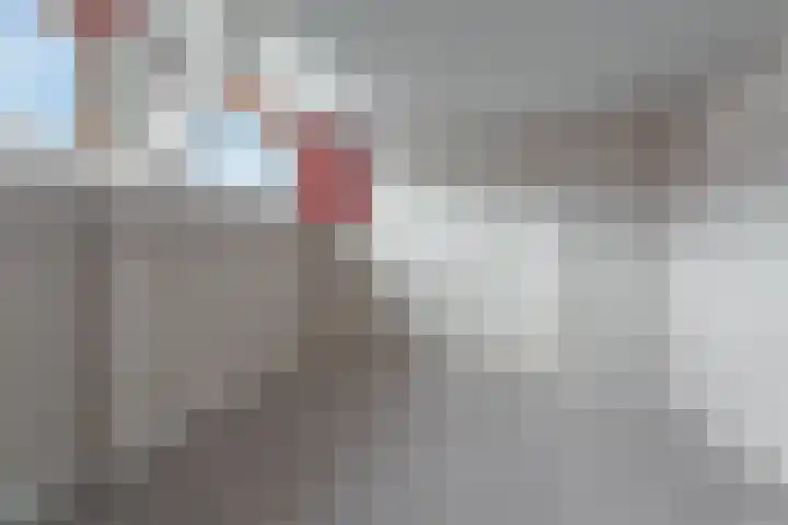 Beukestraat 41 Krommenie thumbnail 26