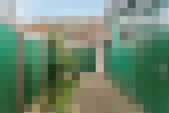 Beukestraat 41 Krommenie thumbnail 31
