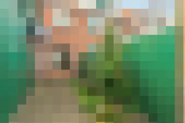 Beukestraat 41 Krommenie thumbnail 32