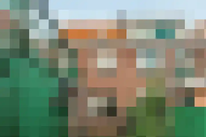 Beukestraat 41 Krommenie thumbnail 33