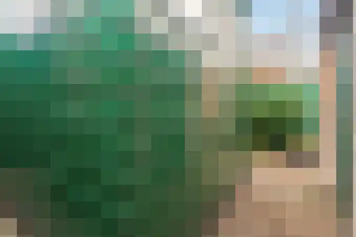 Beukestraat 41 Krommenie thumbnail 36