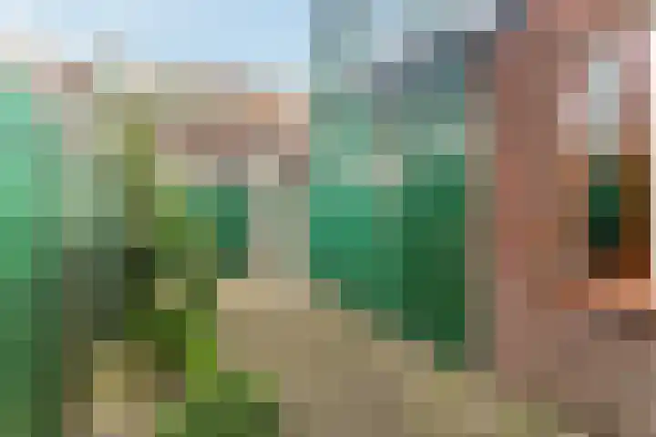 Beukestraat 41 Krommenie thumbnail 4