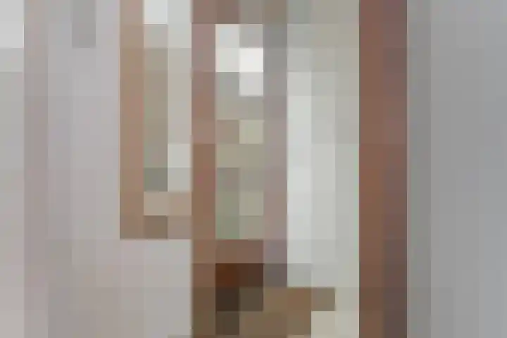 Beukestraat 41 Krommenie thumbnail 5