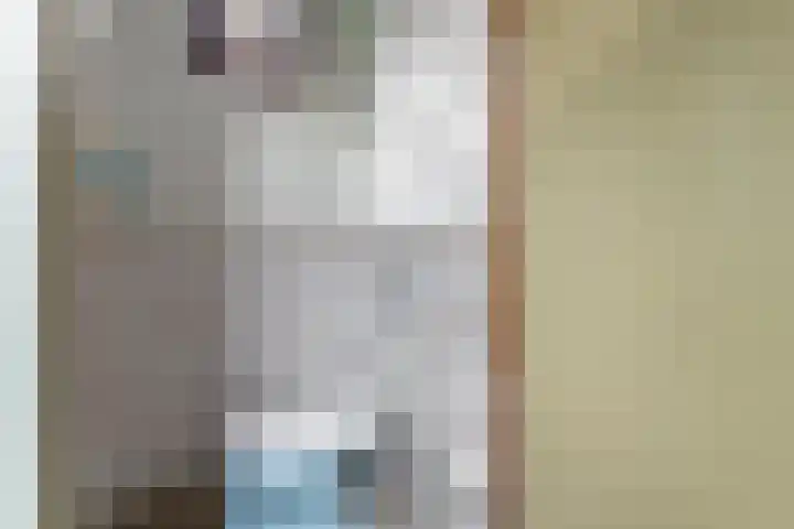 Beukestraat 41 Krommenie thumbnail 7