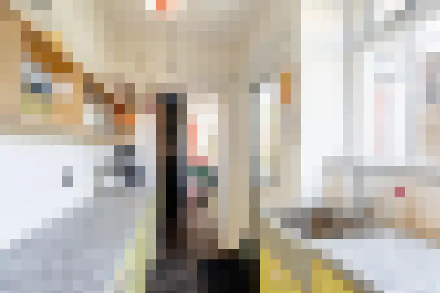 Beukestraat 8 Vlaardingen thumbnail 18