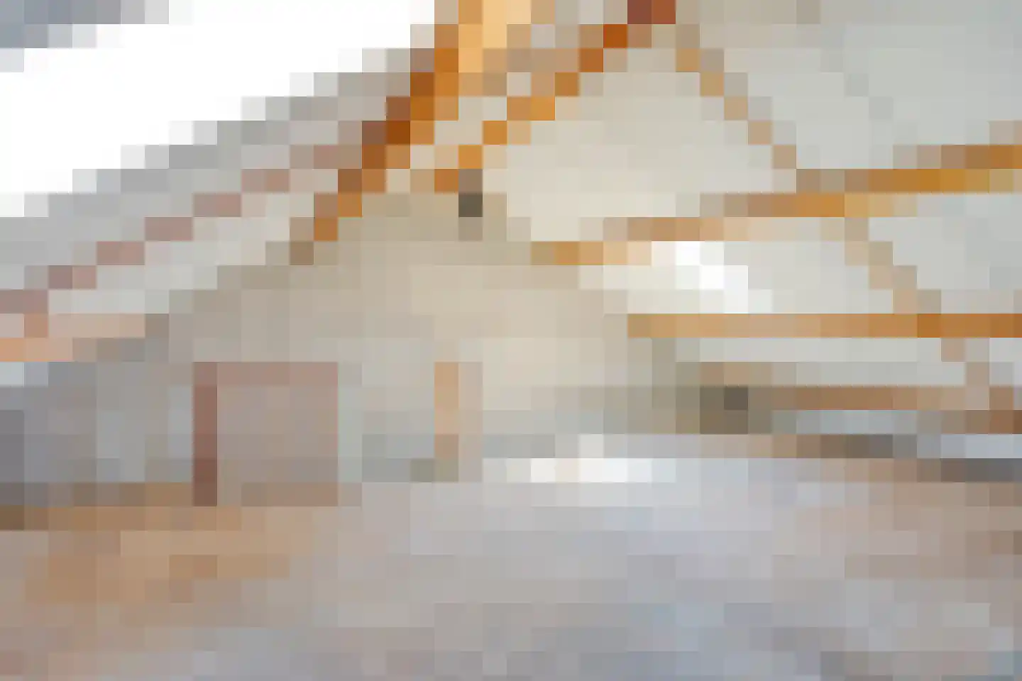 Beukmolen 112 Papendrecht thumbnail 21