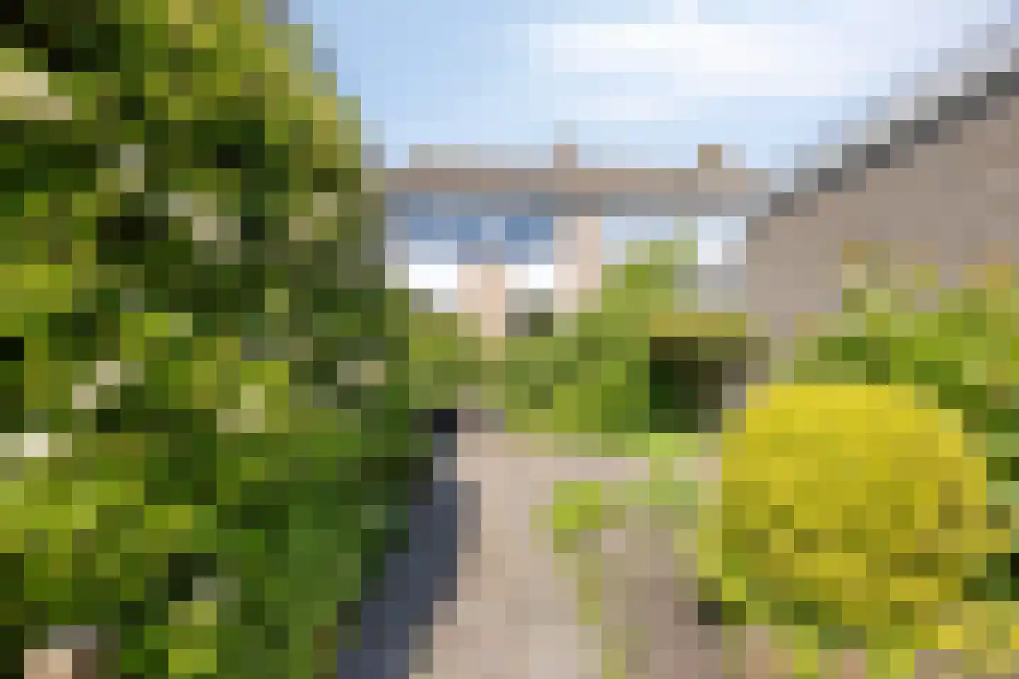 Beukmolen 112 Papendrecht thumbnail 5