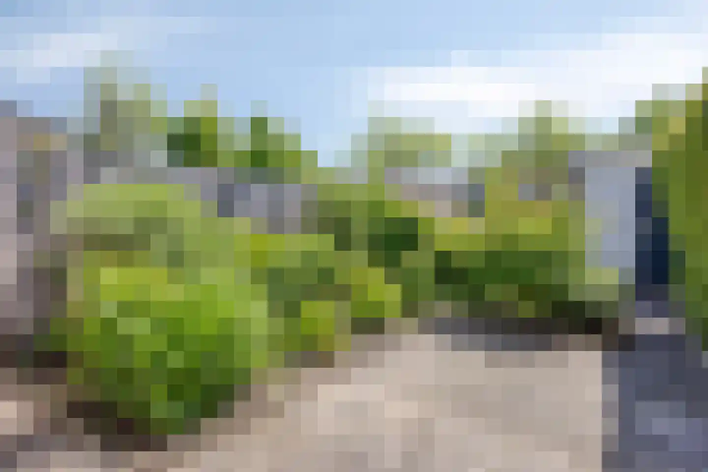 Beukmolen 112 Papendrecht thumbnail 6