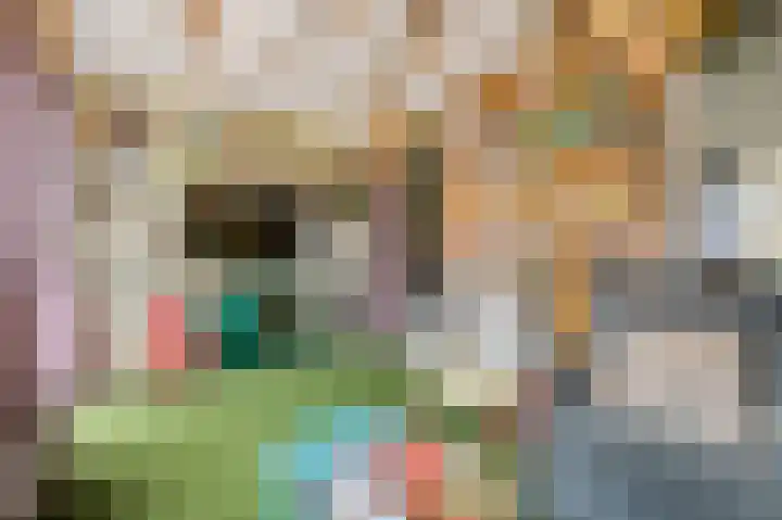 Beukmolen 13 Papendrecht thumbnail 12