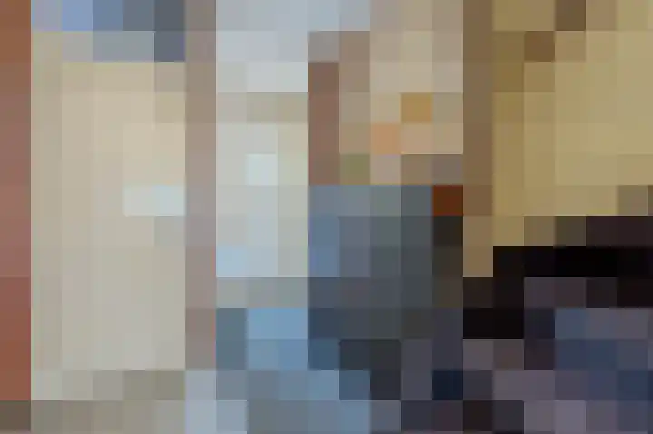 Beukmolen 13 Papendrecht thumbnail 14