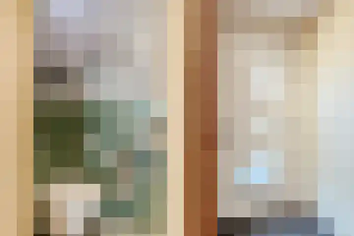 Beukmolen 13 Papendrecht thumbnail 15