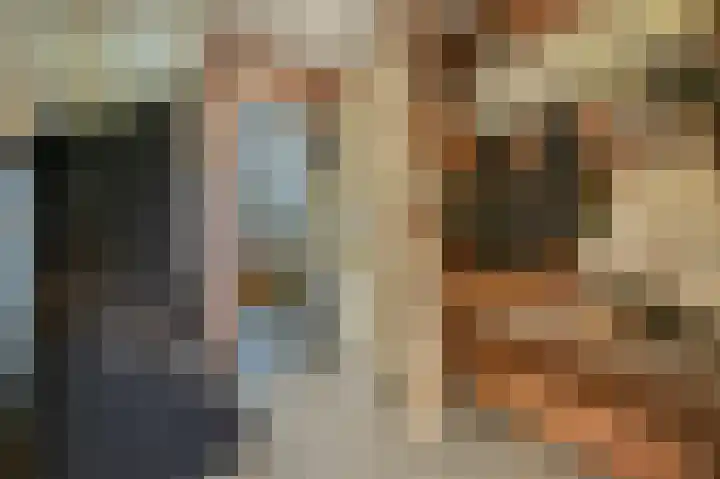 Beukmolen 13 Papendrecht thumbnail 17