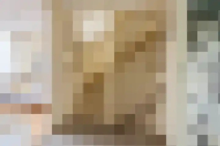 Beukmolen 13 Papendrecht thumbnail 30