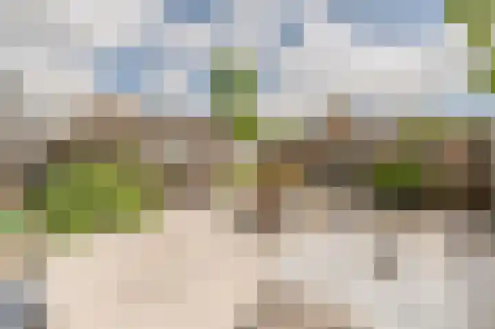 Beukmolen 13 Papendrecht thumbnail 35