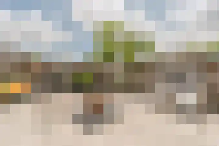 Beukmolen 13 Papendrecht thumbnail 36