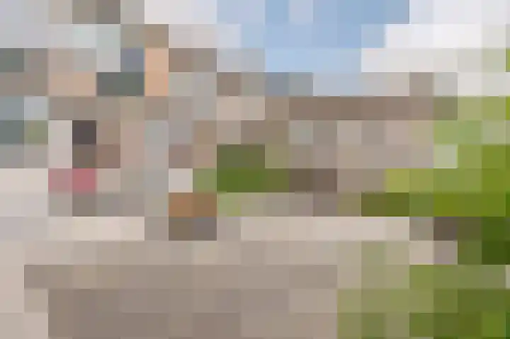 Beukmolen 13 Papendrecht thumbnail 38