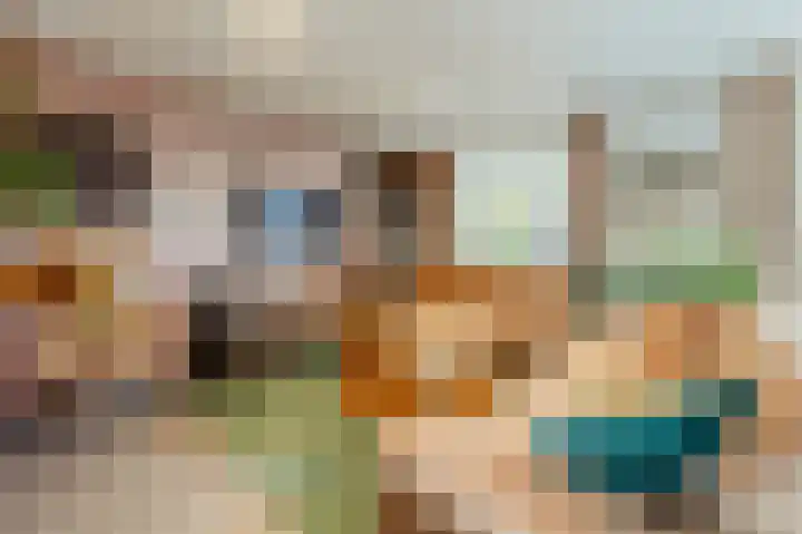 Beukmolen 13 Papendrecht thumbnail 4