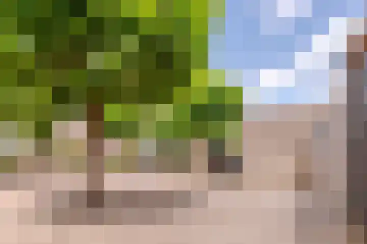 Beukmolen 13 Papendrecht thumbnail 42