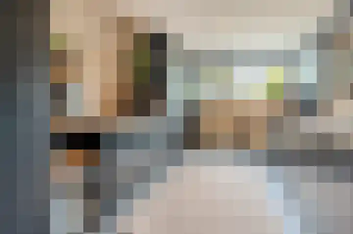 Beukmolen 13 Papendrecht thumbnail 6