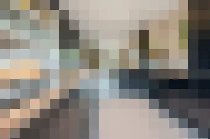 Beukmolen 13 Papendrecht thumbnail 8