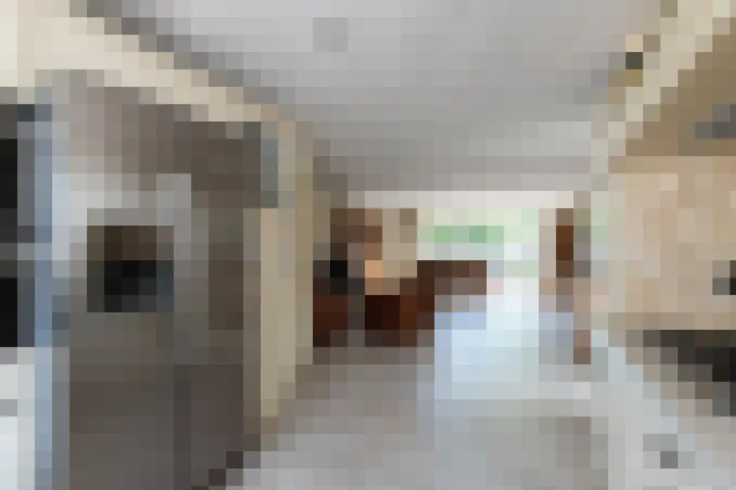 Beukmolen 146 Papendrecht thumbnail 16