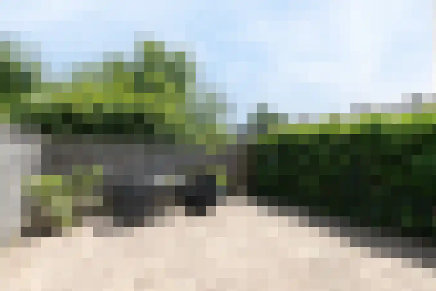 Beukmolen 146 Papendrecht thumbnail 28