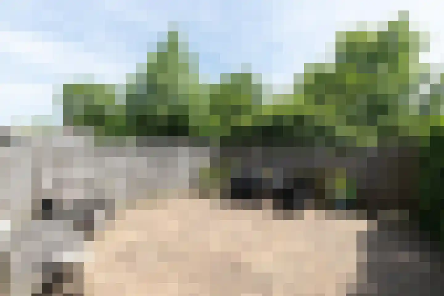 Beukmolen 146 Papendrecht thumbnail 4