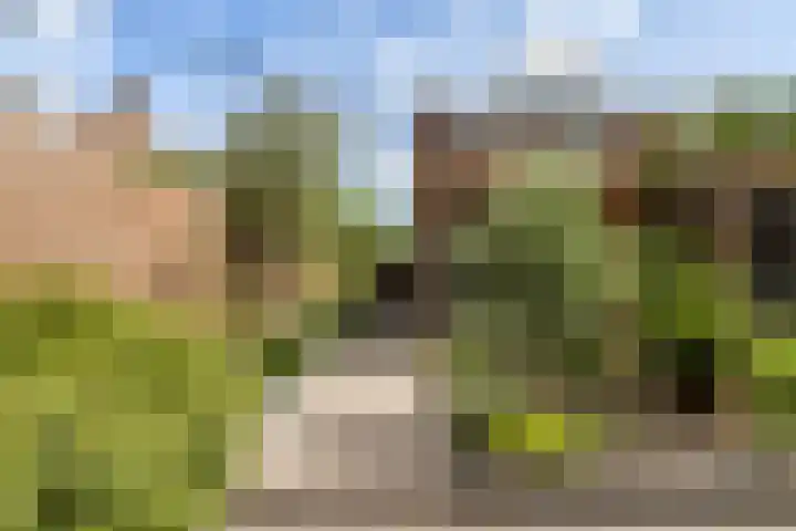 Beukmolen 194 Papendrecht thumbnail 38