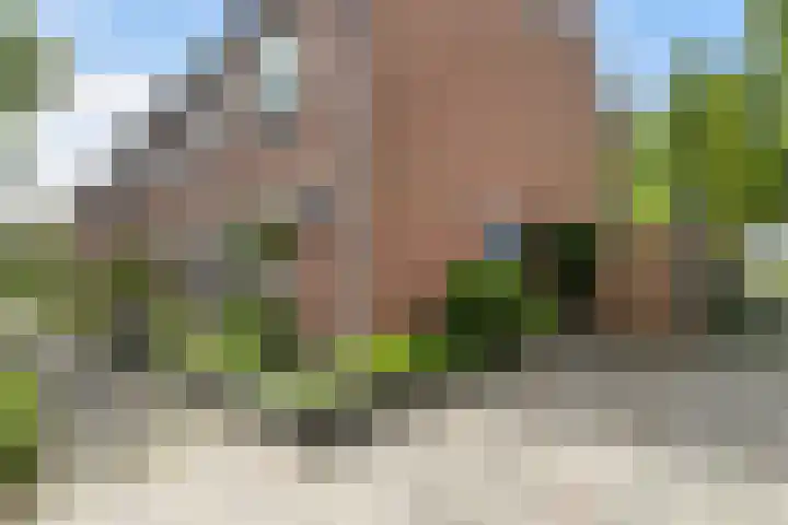 Beukmolen 194 Papendrecht thumbnail 4