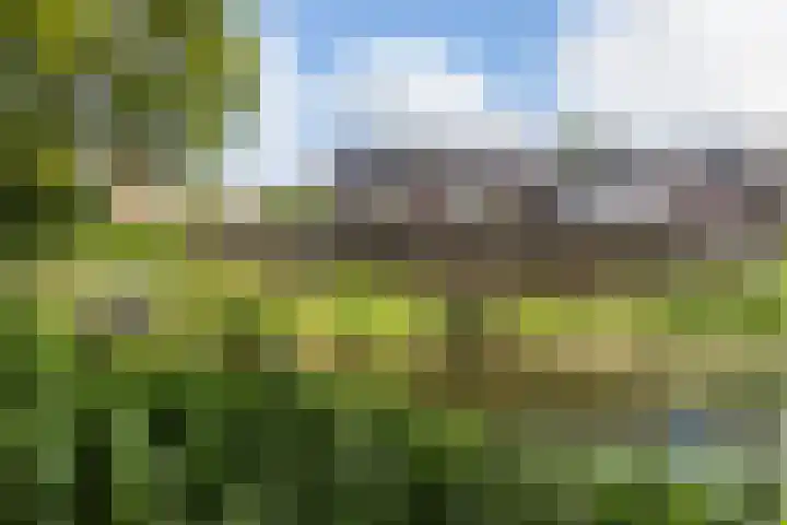 Beukmolen 194 Papendrecht thumbnail 49