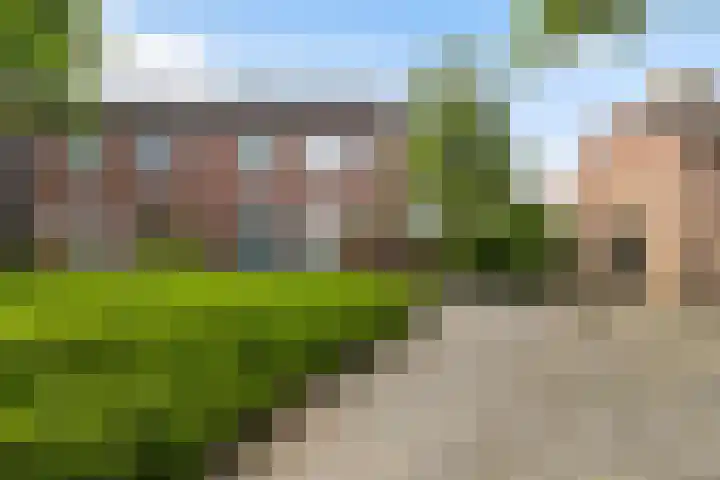 Beukmolen 194 Papendrecht thumbnail 5